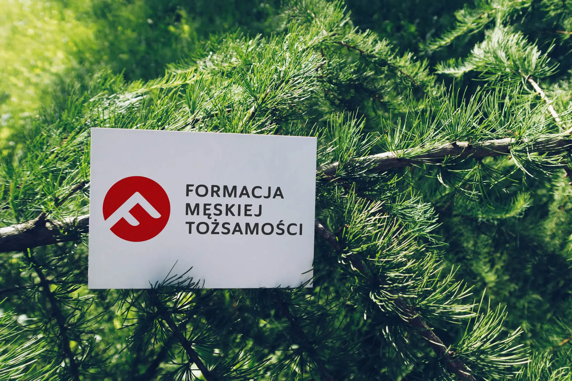 Oświadczenie Formacji Męskiej Tożsamości w odpowiedzi na zarzuty ks. Jacka Stryczka